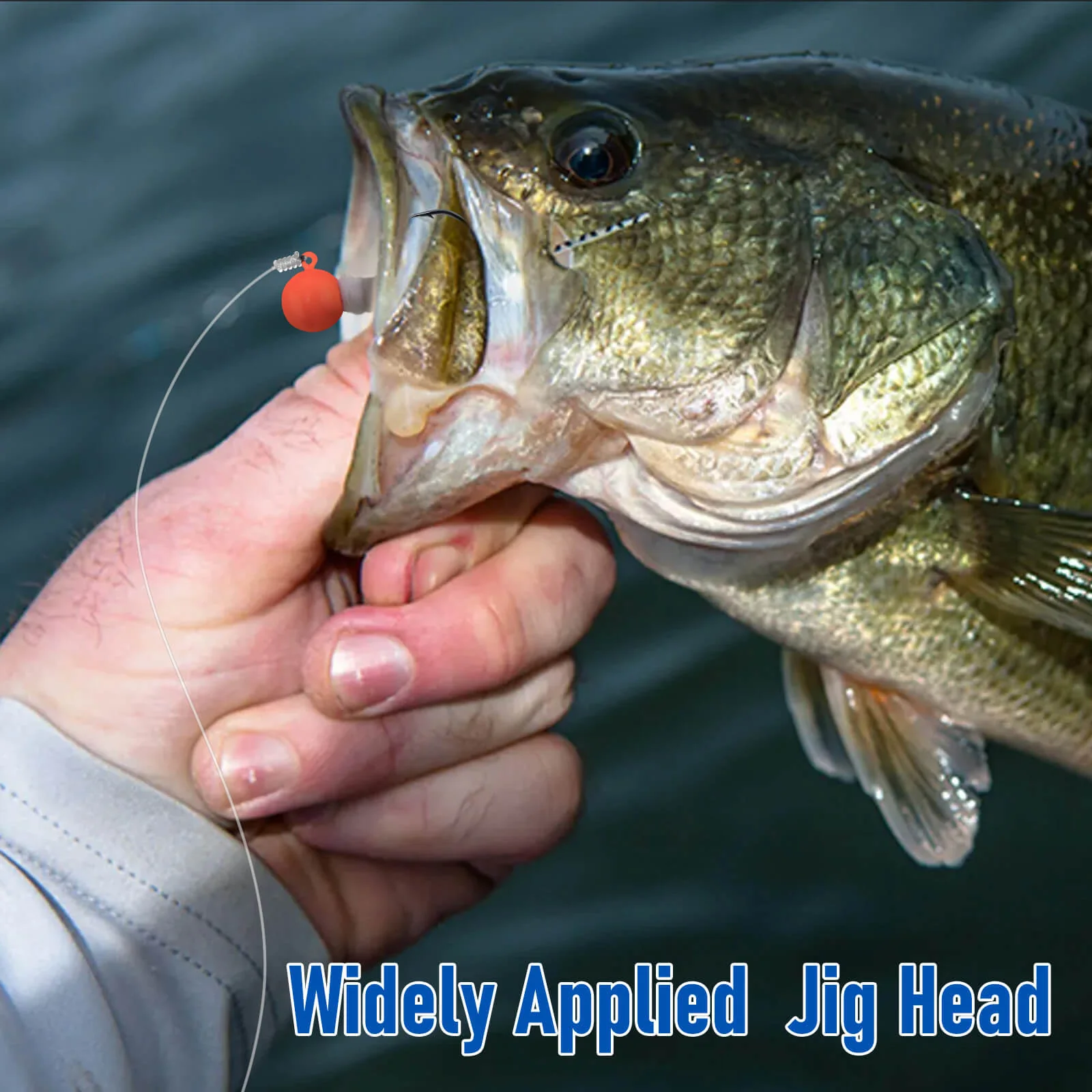 Dr.Fish 10pcs Crappie Marabou Jig heads 1/16oz-3/16oz - Image 7