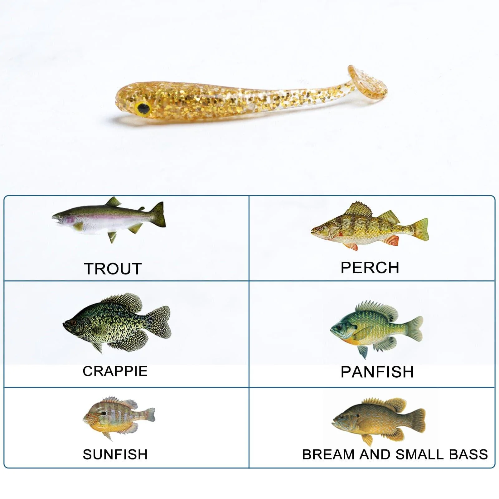 Dr.Fish 10pcs Flashing Glitter Soft Baits 1.57'' - Image 5