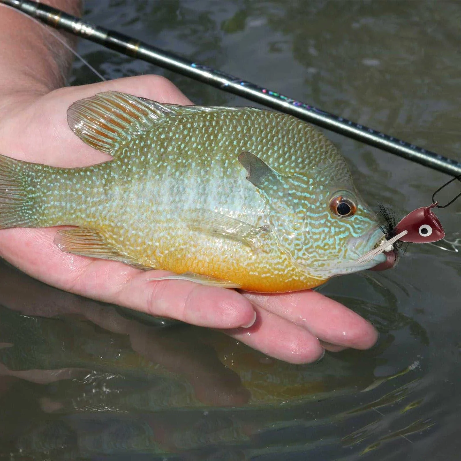Dr.Fish 5/10pcs Fly Fishing Poppers Kit - Image 6