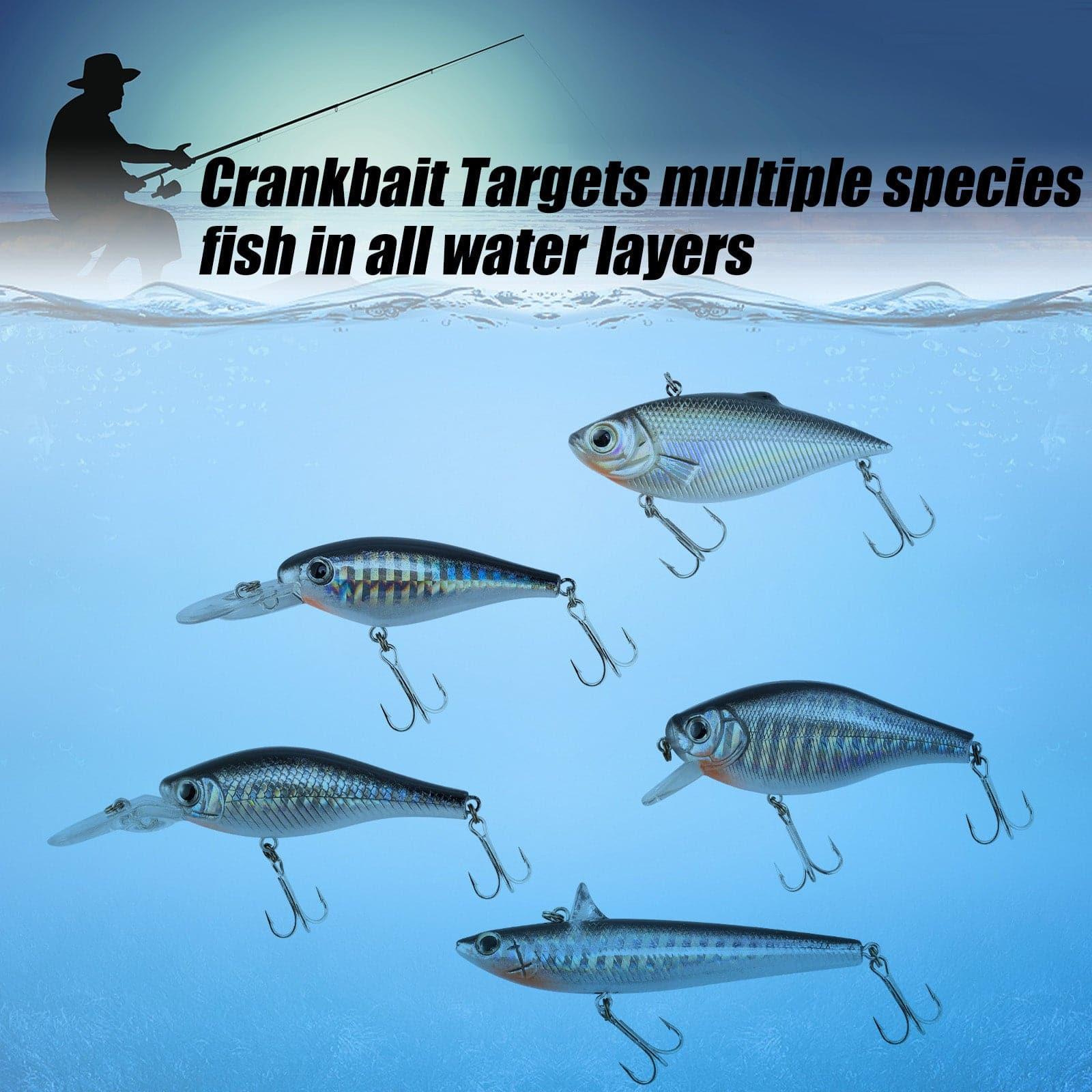 Dr.Fish 5pcs Crankbait Kit - Image 4