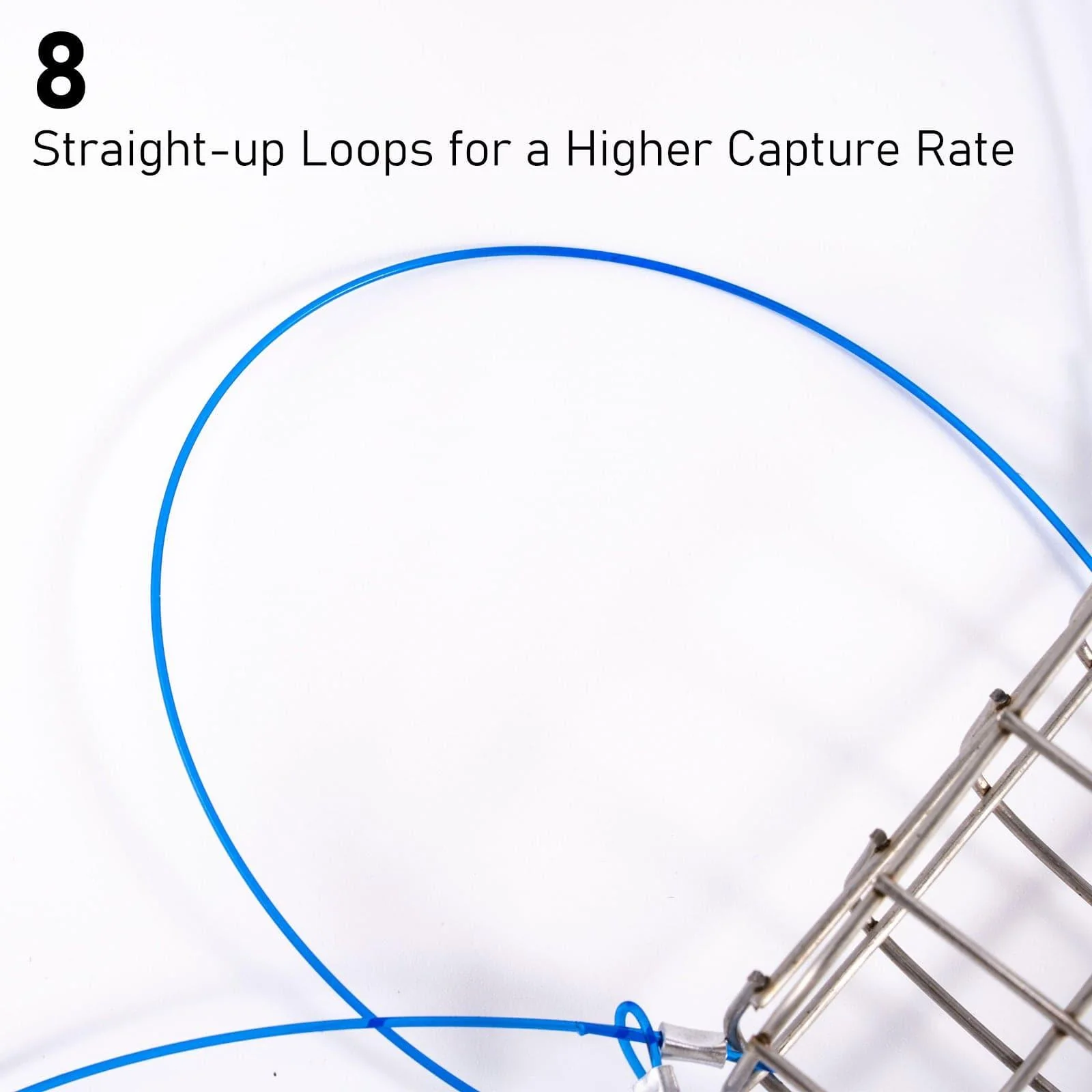 Dr.Fish Castable Crab Traps with 8 Loops - Image 3