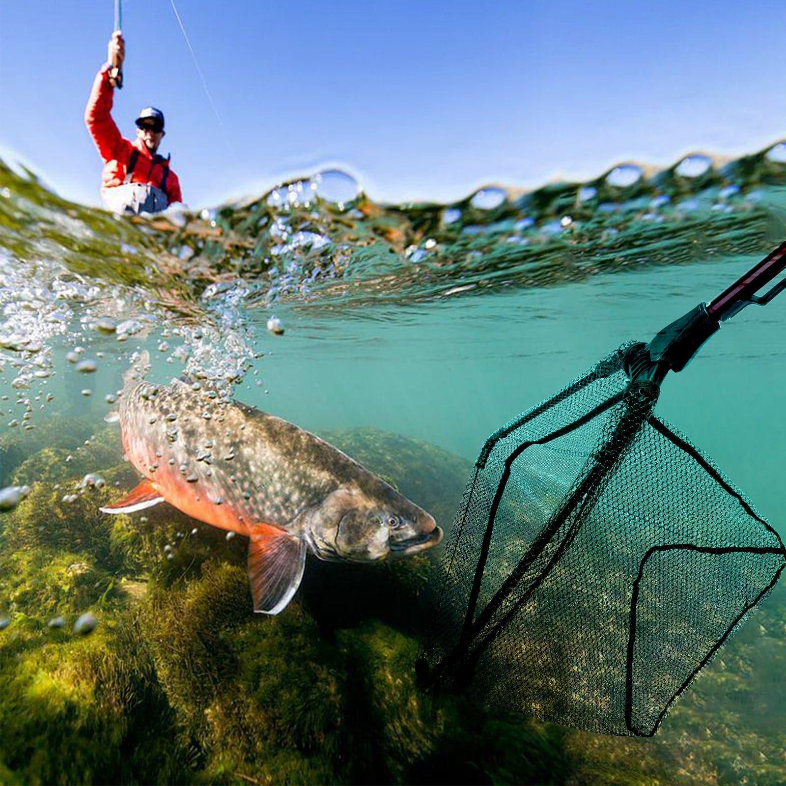 Dr.FIsh 3 Size Landing Net with Telescopic Pole Handle - Image 7