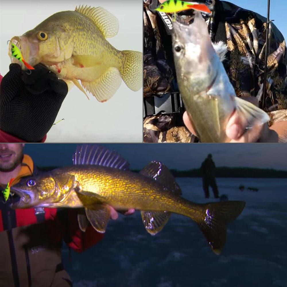 Dr.Fish 3pcs Ice Fishing Jigs 1/4oz - Image 3
