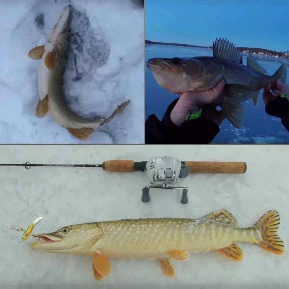 Dr.Fish 4pcs Ice Fishing Jigs 5/16oz - Image 3