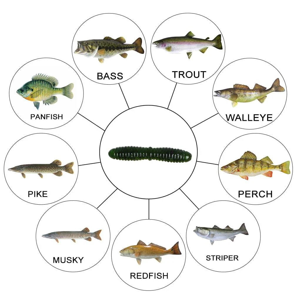 Dr.Fish 15pcs Ice Fishing Soft Worms 1.38'' - Image 4
