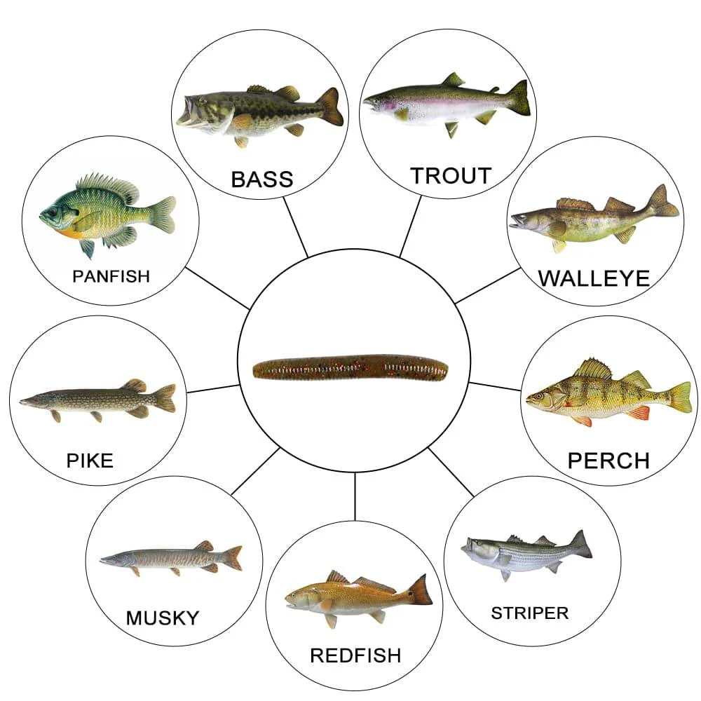 Dr.Fish 15pcs Ice Fishing Soft Worms 1.96'' - Image 4