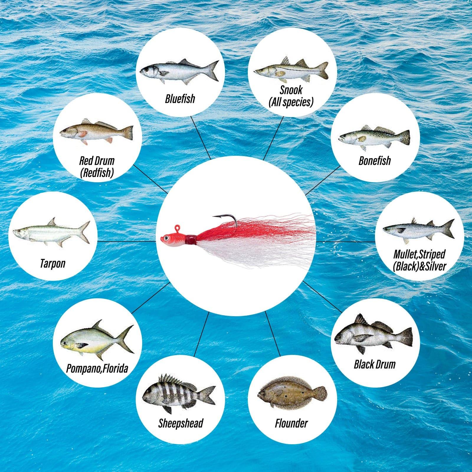 Dr.Fish 269pcs Surf Fishing Tackles Kit - Image 3